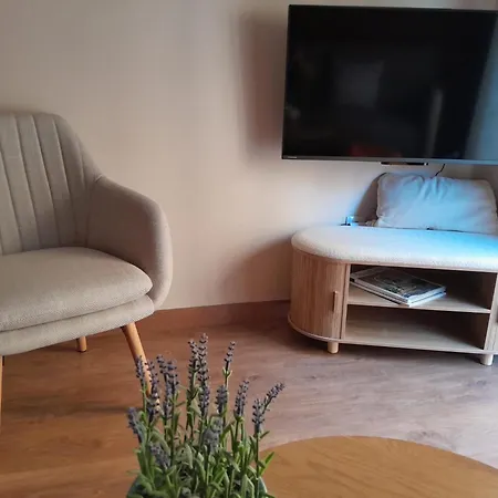 Apartment Old Town